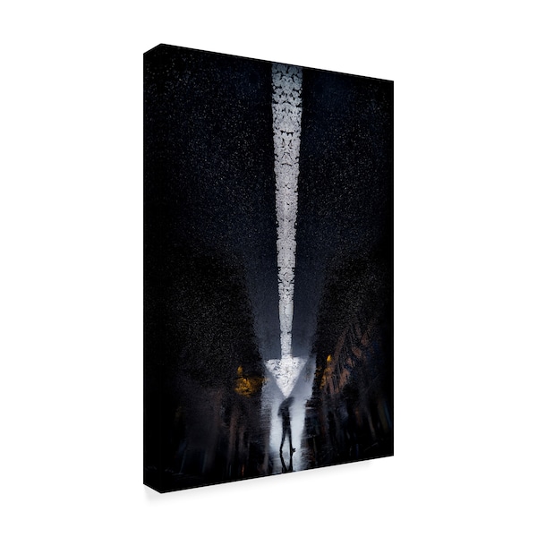 Antonio Grambone 'Arrow' Canvas Art,22x32